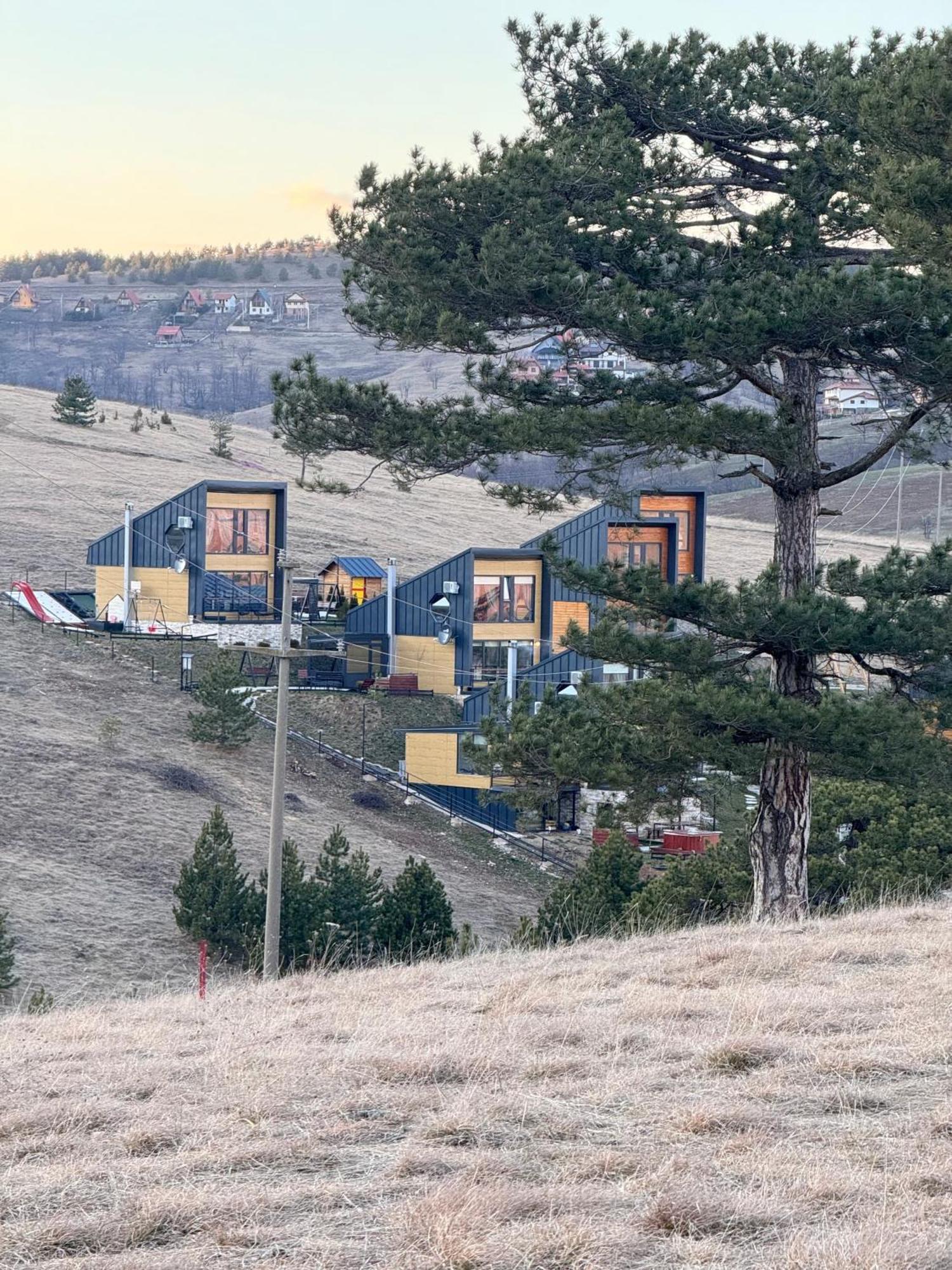 Casa vacanze Wild Nest Bear